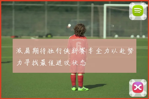浓眉期待独行侠新赛季全力以赴努力寻找最佳进攻状态